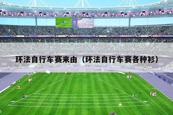 环法自行车赛来由（环法自行车赛各种衫）