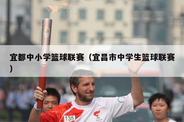 宜都中小学篮球联赛（宜昌市中学生篮球联赛）
