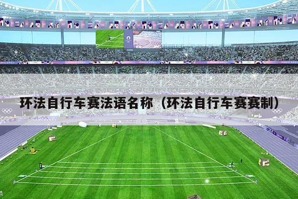 环法自行车赛法语名称（环法自行车赛赛制）