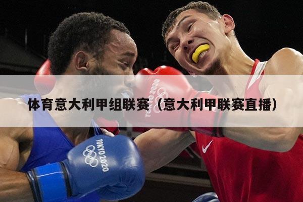 体育意大利甲组联赛（意大利甲联赛直播）