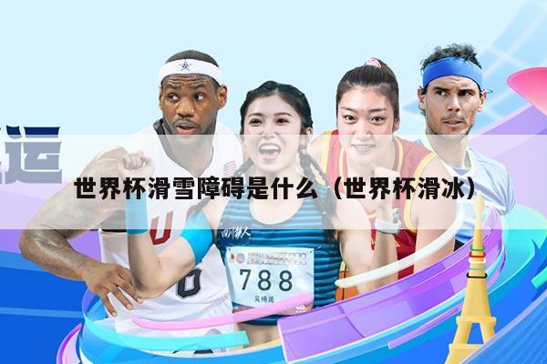 世界杯滑雪障碍是什么（世界杯滑冰）