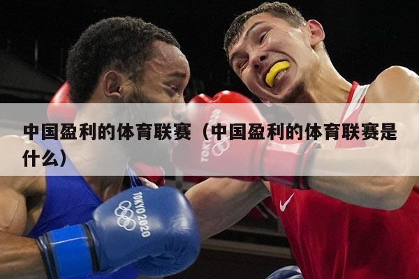 中国盈利的体育联赛（中国盈利的体育联赛是什么）