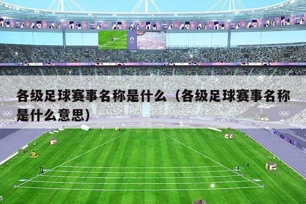 各级足球赛事名称是什么（各级足球赛事名称是什么意思）
