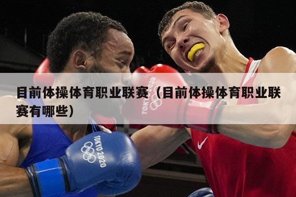 目前体操体育职业联赛（目前体操体育职业联赛有哪些）