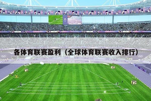 各体育联赛盈利（全球体育联赛收入排行）