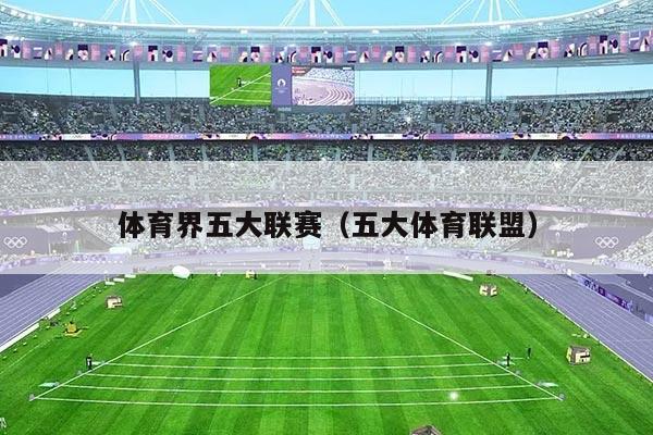 体育界五大联赛（五大体育联盟）