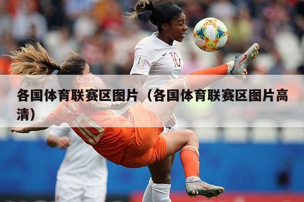 各国体育联赛区图片（各国体育联赛区图片高清）