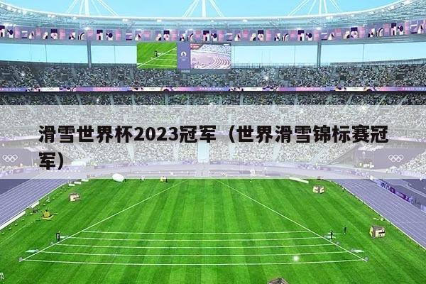 滑雪世界杯2023冠军（世界滑雪锦标赛冠军）