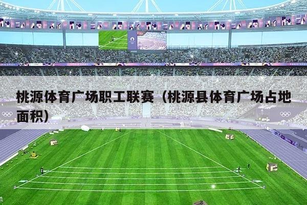 桃源体育广场职工联赛（桃源县体育广场占地面积）