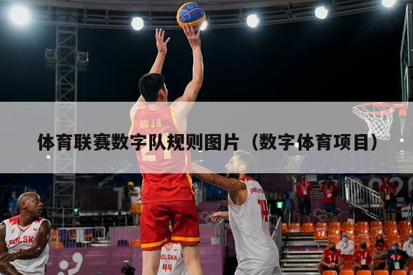 体育联赛数字队规则图片（数字体育项目）