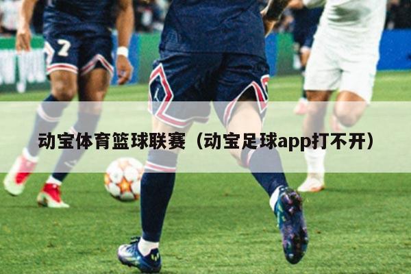 动宝体育篮球联赛（动宝足球app打不开）