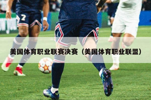 美国体育职业联赛决赛（美国体育职业联盟）