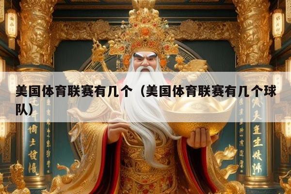 美国体育联赛有几个（美国体育联赛有几个球队）