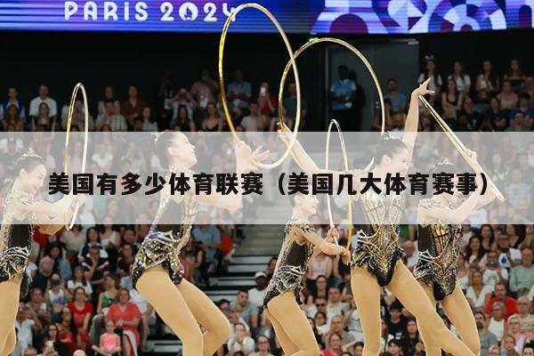 美国有多少体育联赛（美国几大体育赛事）