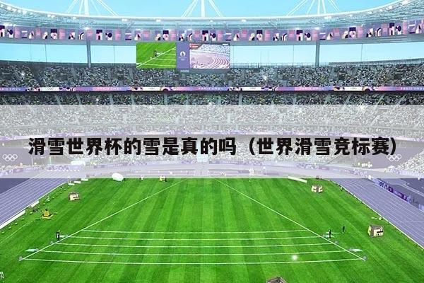 滑雪世界杯的雪是真的吗（世界滑雪竞标赛）