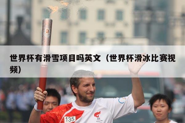 世界杯有滑雪项目吗英文（世界杯滑冰比赛视频）