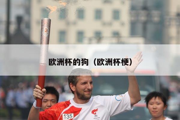 欧洲杯的狗(欧洲杯梗)